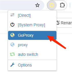 freshly configured proxy