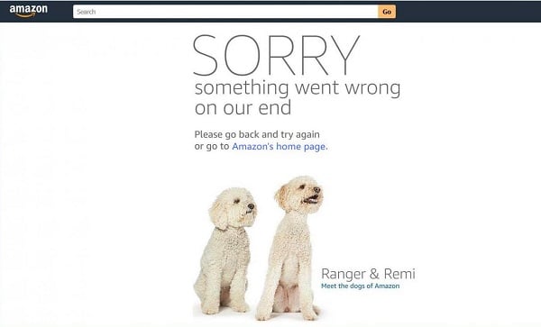 Amazon Sorry something went wrong
