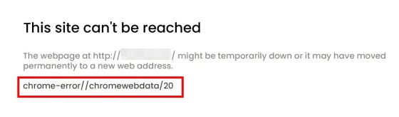 chrome-error://chromewebdata/20 example
